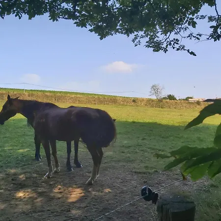 Chateau La Bastide Cardan Вилла *