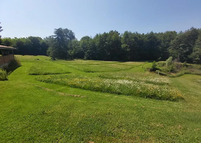 Chateau La Bastide Cardan Saint-Sulpice-de-Pommiers