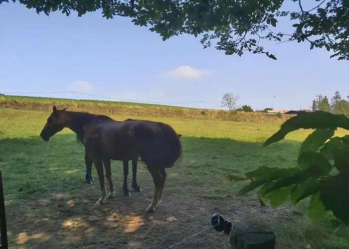 Chateau La Bastide Cardan Villa *