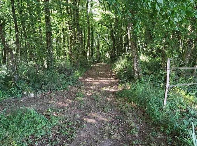 Chateau La Bastide Cardan Saint-Sulpice-de-Pommiers
